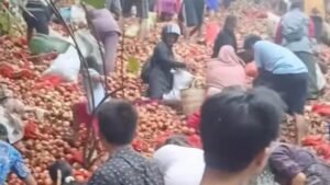 Polisi Terperangah, Bawang Bombai Viral Jadi Perburuan Warga Batam!