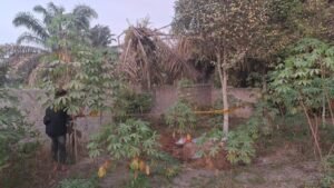 Tragedi Jasad Pria Terbungkus Terpal di Kebun Riau: Membusuk dan Menyebabkan Ketakutan!