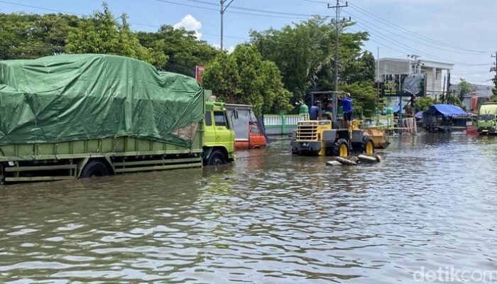 Banjir Pantura Menyiksa, Sopir Truk Menangis: “Inilah Tahun Terparah!”