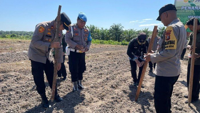 Dukung Ketahanan Pangan, Polres Dumai Luncurkan Program Tanam Jagung Perdana di Kuartal IV!