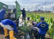 Bersama Masyarakat, Petugas-Warga Binaan Lapas Purwokerto Berkontribusi di Pamijen