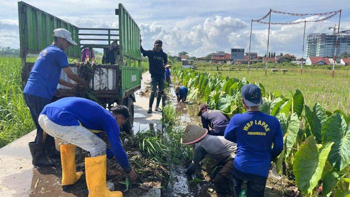 Bersama Masyarakat, Petugas-Warga Binaan Lapas Purwokerto Berkontribusi di Pamijen
