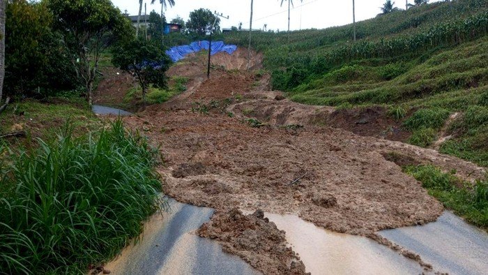 Longsor Menyapu 100 Meter, Jalur Utama Tulungagung-Trenggalek via Pagerwojo Terancam Putus