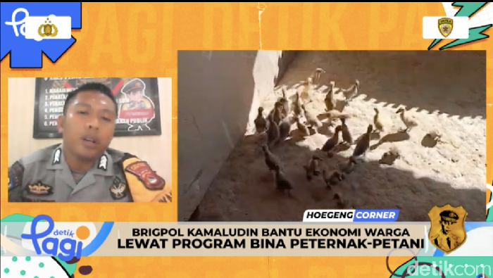 Inspirasi di Balik Brigpol Kamaludin Bina Peternak Bebek dan Petani di NTB - Update 3