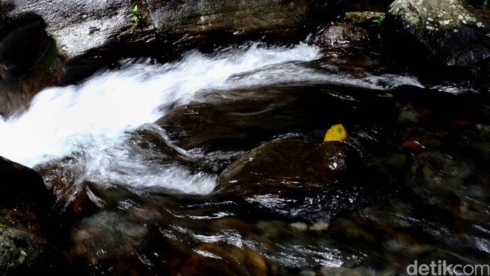 Aksi Polisi di BSD: Dari Sungai ke Pelukan Keluarga, Remaja Hilang Ter salvar!