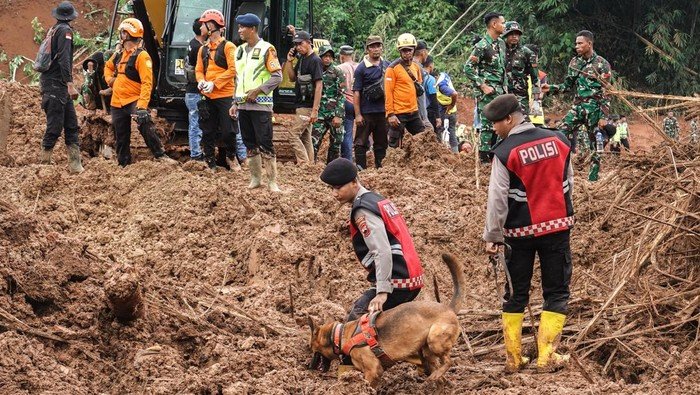 Update Menyedihkan: 13 Tewas dalam Longsor Cilacap, 10 Orang Hilang