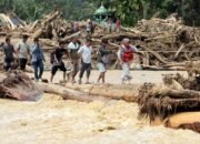 Banjir Sumatera Surut, Gelondongan Kayu: Dari Bencana ke Harapan