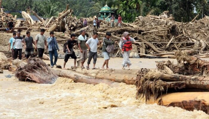 Banjir Sumatera Surut, Gelondongan Kayu: Dari Bencana ke Harapan