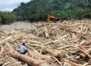 “Gelondongan Kayu di Sumut: Banjir sebagai Peringatan Bahaya yang Tak Terelakkan”