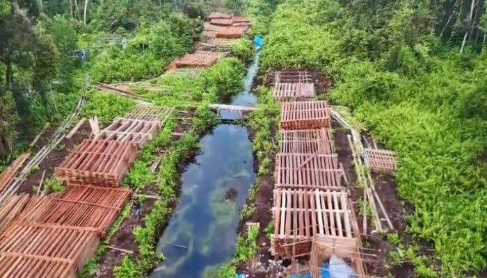 Inhu dalam Kaca: Potret Ratusan Kubik Kayu Illegal Logging yang Dibongkar Polisi, Berapa Harga Bumi?