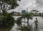 41 Desa Bekasi Kebanjiran, 37.879 Keluarga Terdampak: Kebencian alam yang Tidak Terduga!