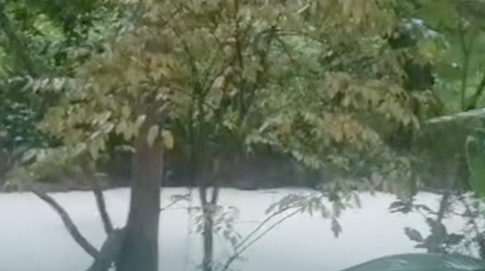Kebakaran Pabrik Pestisida Tangsel: Sungai Berubah Putih, Ikan Menyusahkan