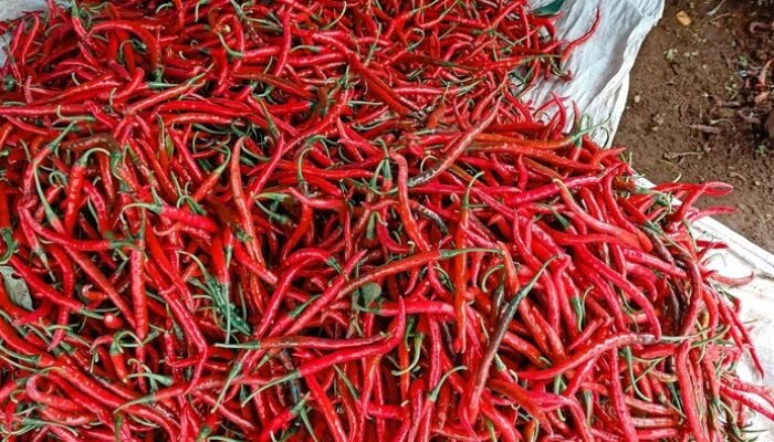 Harga Minyak dan Cabai Naik, Pemprov DKI Berupaya Stabilkan Pasar jelang Ramadan