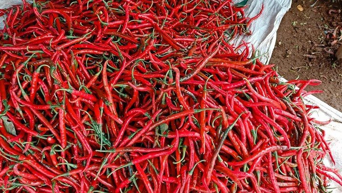 Harga Minyak dan Cabai Naik, Pemprov DKI Berupaya Stabilkan Pasar jelang Ramadan