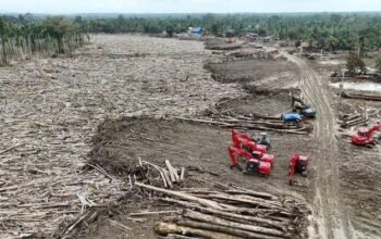Mendagri Cairkan Rp 4,7 T Bantuan untuk Korban Bencana Sumatera, Solusi dari Pemerintah untuk Kebutuhan Darurat