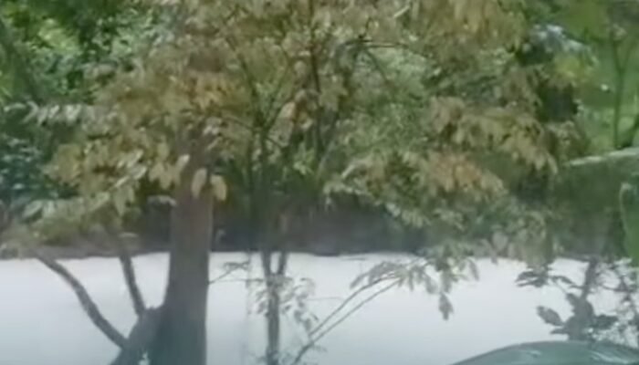 Warga Waspadai, Walkot Tangsel: Jika Sumur Tercemar, Lapor Segera Sebelum Terlambat!