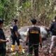 Dari Hutan ke Meja Interogasi: Kasus Gajah Tanpa Kepala di Riau Terungkap