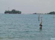 Kebencanaan Menanti: Pesisir RI Waspada! Banjir Rob Diprediksi Menerjang 12-19 Februari