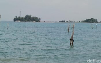 Kebencanaan Menanti: Pesisir RI Waspada! Banjir Rob Diprediksi Menerjang 12-19 Februari