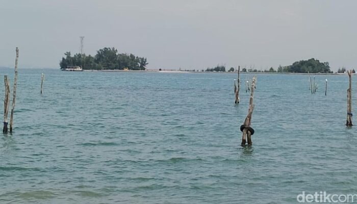 Kebencanaan Menanti: Pesisir RI Waspada! Banjir Rob Diprediksi Menerjang 12-19 Februari