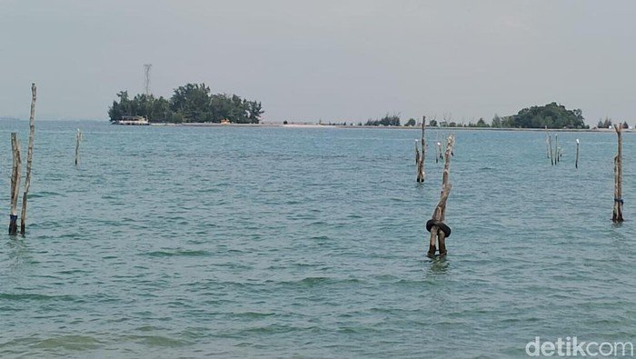 Kebencanaan Menanti: Pesisir RI Waspada! Banjir Rob Diprediksi Menerjang 12-19 Februari