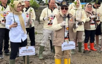 Peringati HUT Gerindra, Legislator Gerindra Tanam 1.000 Mangrove di Lampung, Buktikan Komitmen Lingkungan