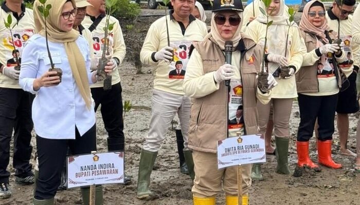 Peringati HUT Gerindra, Legislator Gerindra Tanam 1.000 Mangrove di Lampung, Buktikan Komitmen Lingkungan