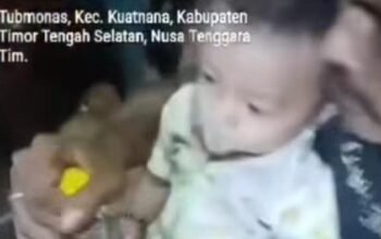 Ayah di NTT Paksa Bayi 11 Bulan Minum Miras, Polisi Segera Tangkap
