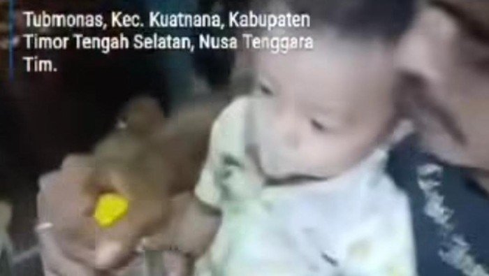 Ayah di NTT Paksa Bayi 11 Bulan Minum Miras, Polisi Segera Tangkap