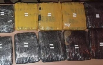 15,5 Kg Ganja Ditemukan, Polda Metro Tangkap 3 Pria di Tanah Abang, Guncang Kota