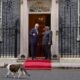 “Larry, Kucing yang ‘Sambut’ Prabowo di Inggris, Merayakan 15 Tahun Sebagai PNS Downing Street”