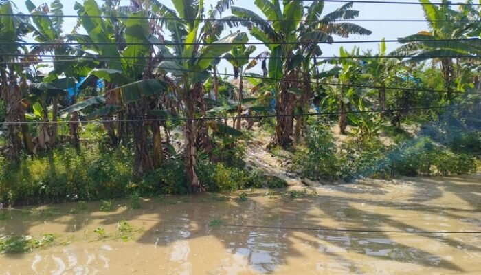 Banjir Menyapu 34 Desa di Grobogan, 5.214 Keluarga Terpaksa Evakuasi
