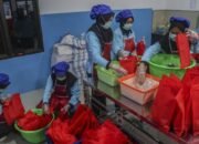 “Strategi Paket Bundling: Solusi Cerdas agar MBG Tetap Diterima saat Libur Lebaran”