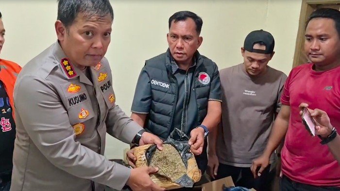 Polisi Tangkap Pengedar Narkoba di Kota Bekasi, 44 Kg Ganja Disita - Update 3