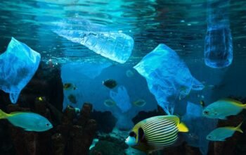 **BRIN: Laut RI Terserang Mikroplastik Hingga 2.450 Meter, Apa yang Terjadi?**